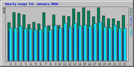 Hourly usage for January 2026