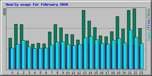 Hourly usage for February 2026