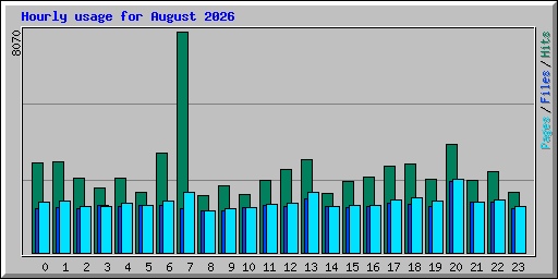 Hourly usage for August 2026